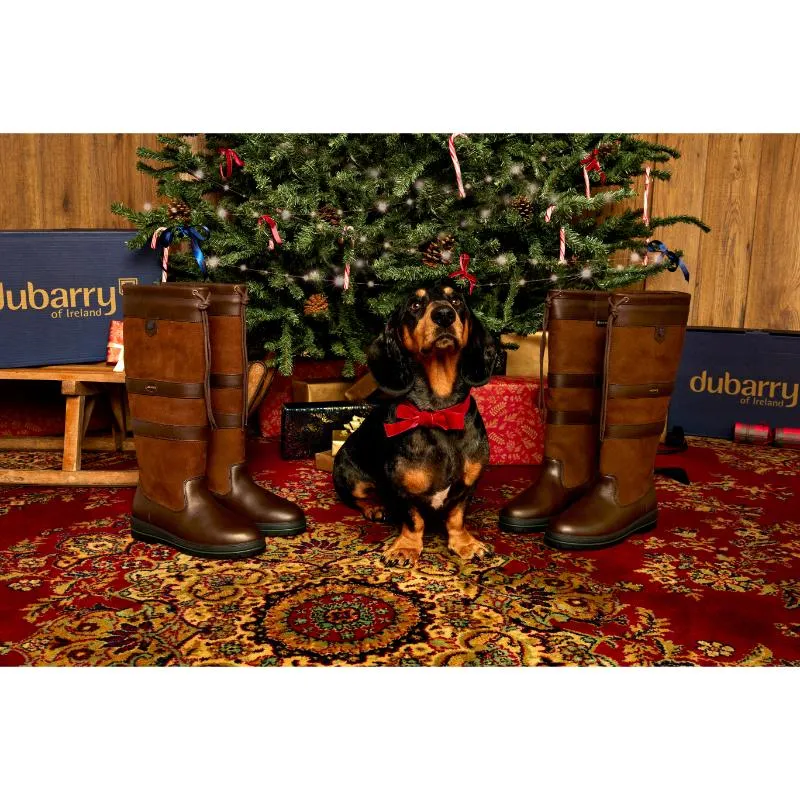 Dubarry Galway GORE-TEX Waterproof Boots - Walnut