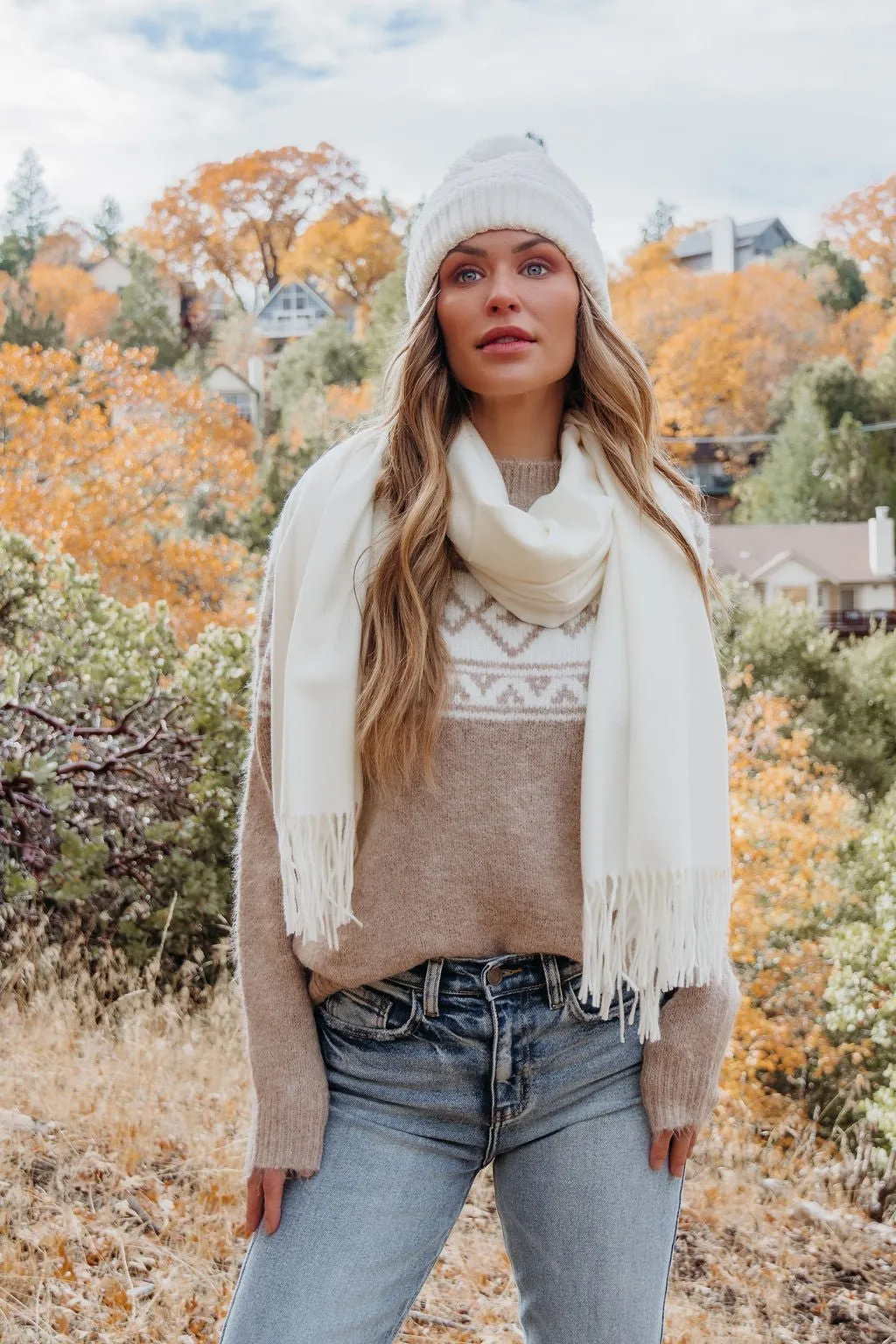 Taupe Aztec Print Mock Neck Sweater