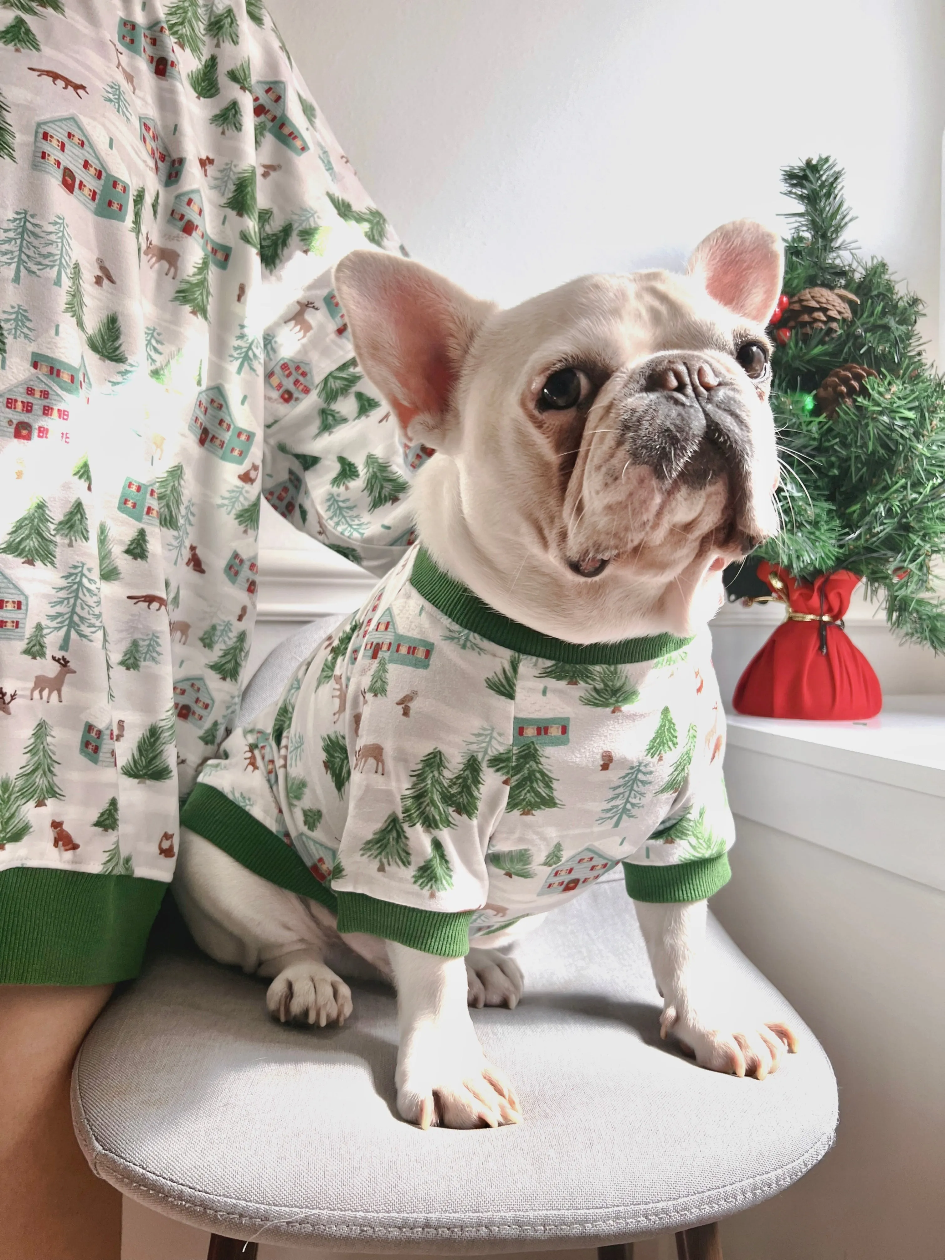 Winter Wonderland Snow Mountain Owner and Pet Matching Sweater